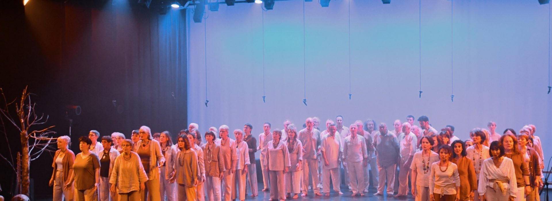 image_processing20240301-31135-1r0inj0